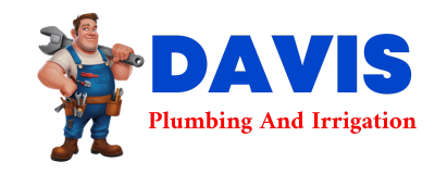 Trusted plumber in DIVIDE